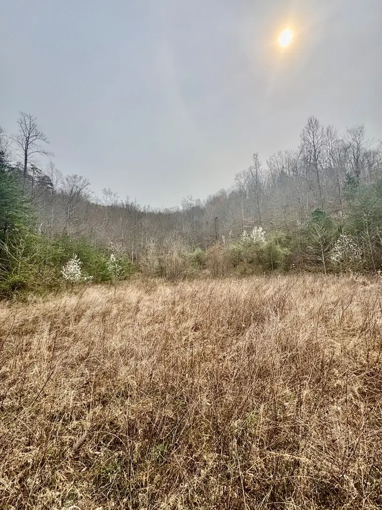 0 Middle Fork, Hagerhill, KY 41222 - #2