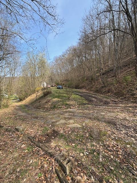 00 Robinson Hollow Road, Martin, KY 41649