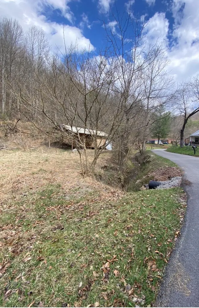 36 Rays Branch, Varney, KY 41571 - #2