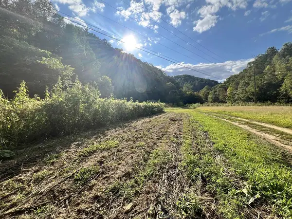 0000 Rockhouse Fork Of Marrobone Map# 085-00-00-015.05, Elkhorn City, KY 41522