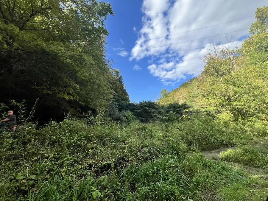 0000 Rockhouse Fork Of Marrobone Map# 085-00-00-015.05, Elkhorn City, KY 41522 - #3