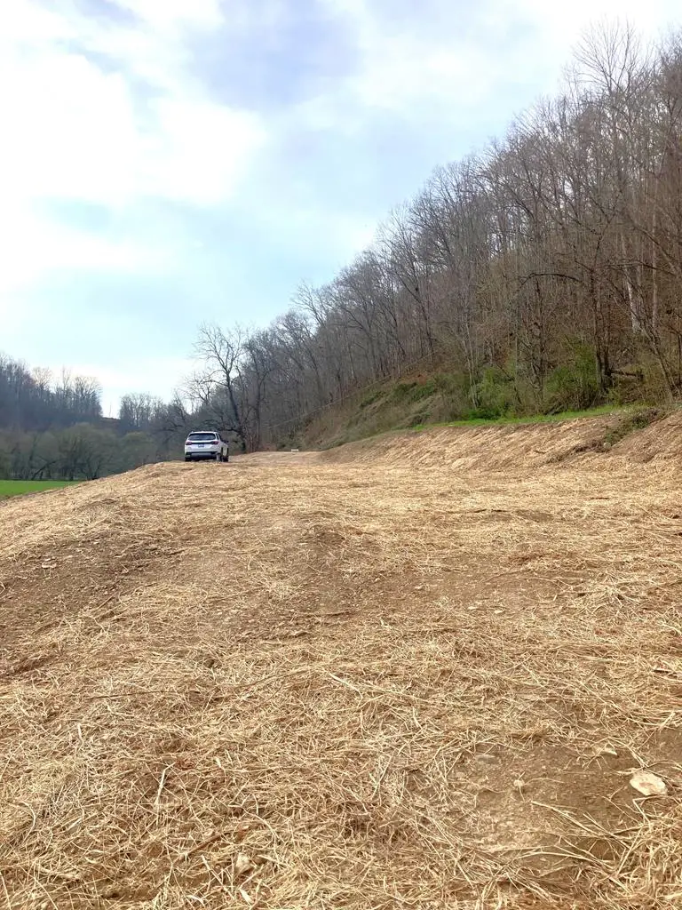 16023 Brushy Road, Pikeville, KY 41501 - #2