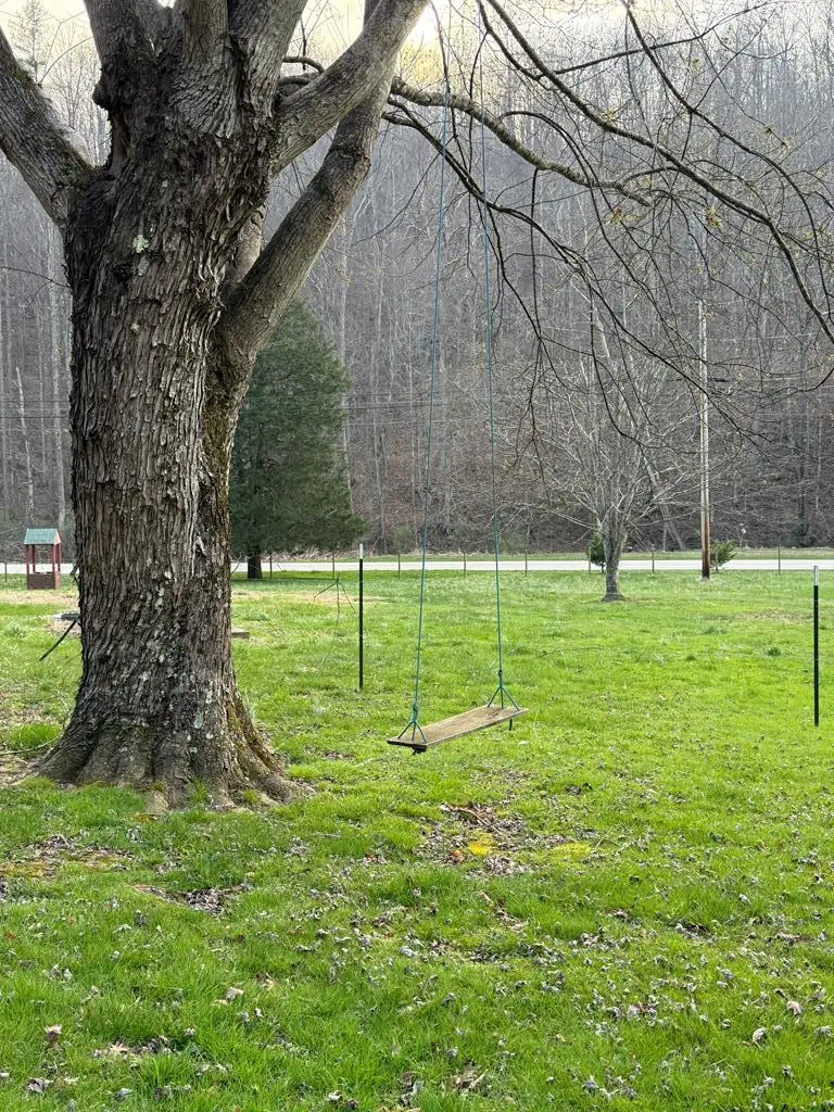 665 Craft Creek Road, Salyersville, KY 41465 - #2