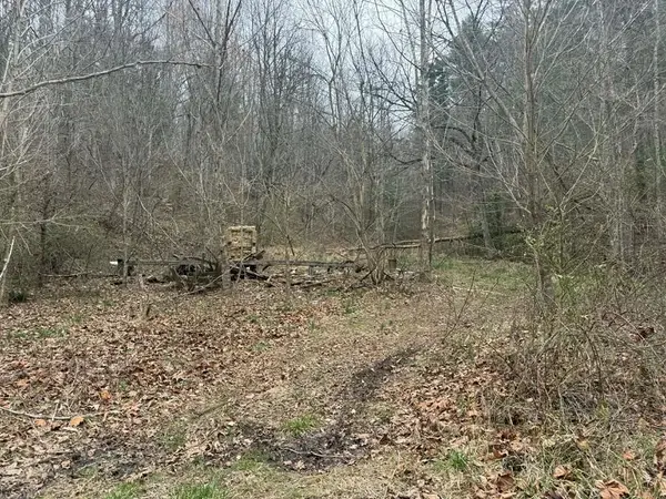 2572 Williams Branch, Flat Gap, KY 41219