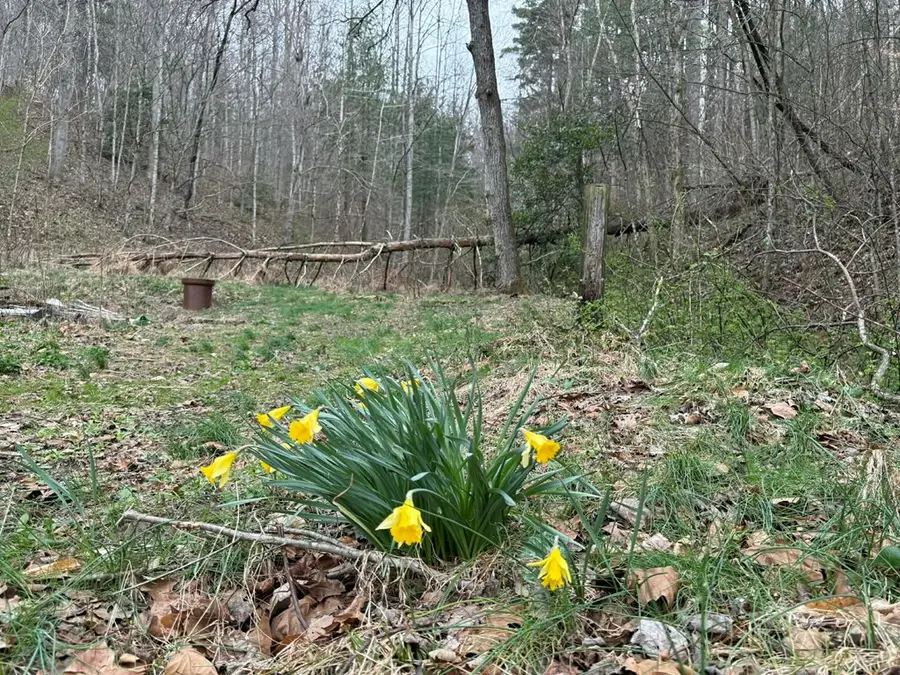 2572 Williams Branch, Flatgap, KY 41219 - #3