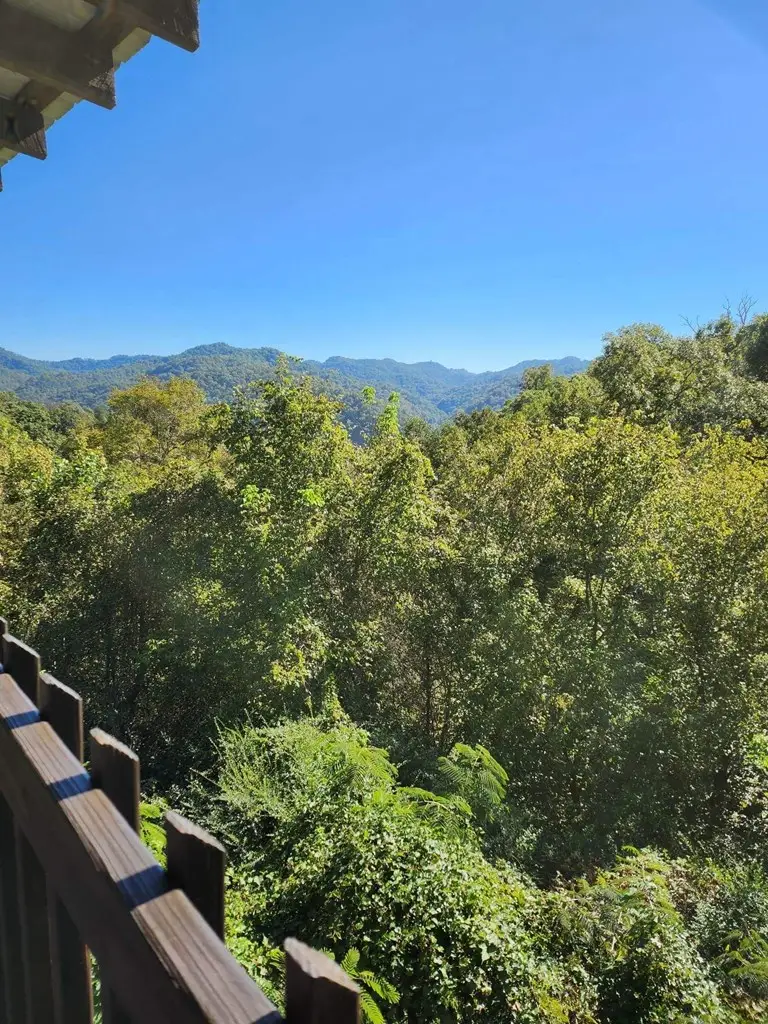 219 Peach Orchard Drive, Pikeville, KY 41501 - #2