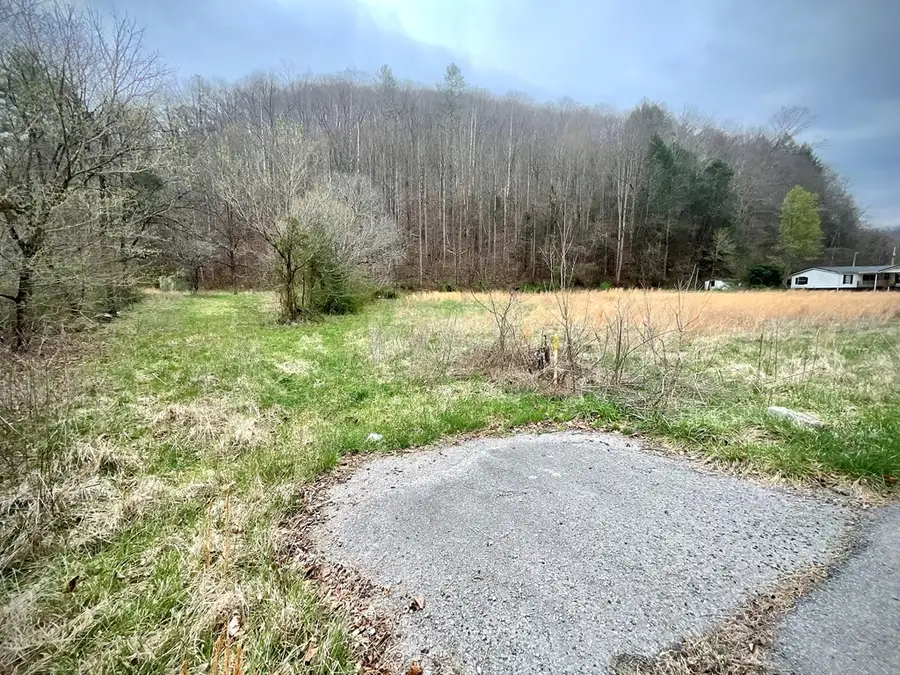 000 Left Fork Of Long Fork, Virgie, KY 41572 - #2