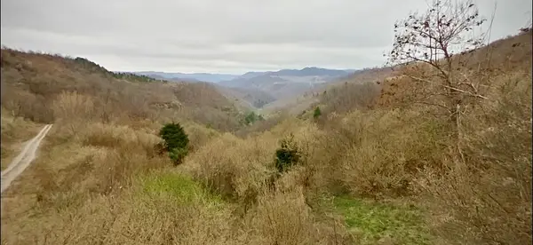 0 Left Fork Long Frk,, Virgie, KY 41572