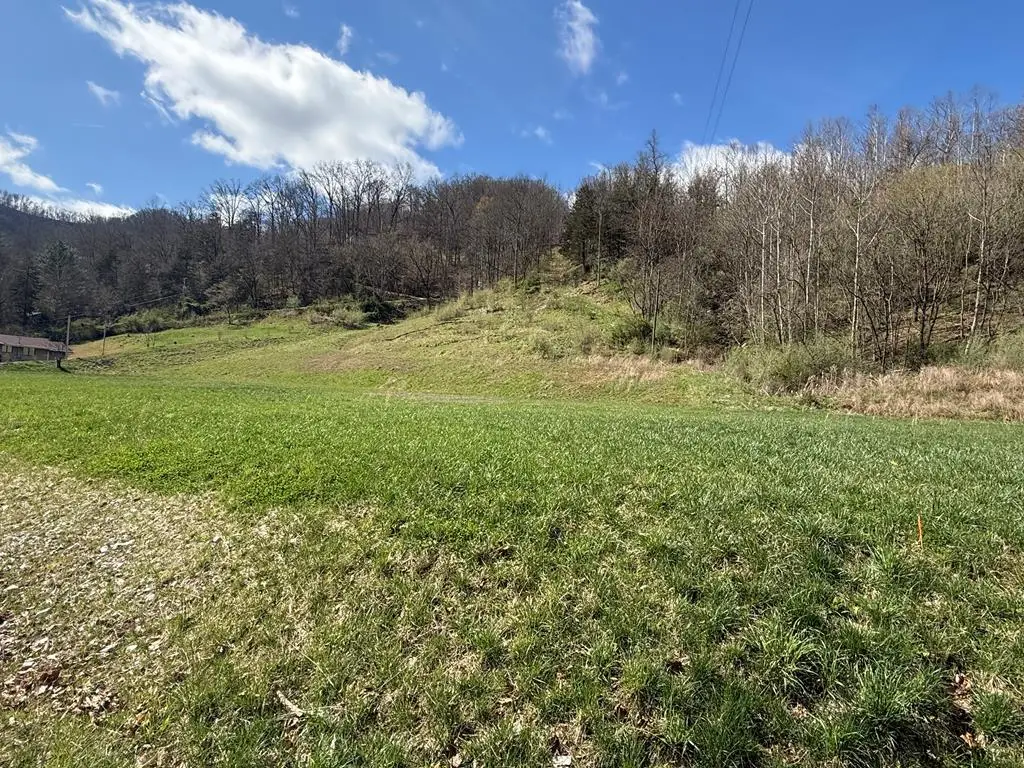 0 Cowpen #Lot 1, Pikeville, KY 41501 - #1