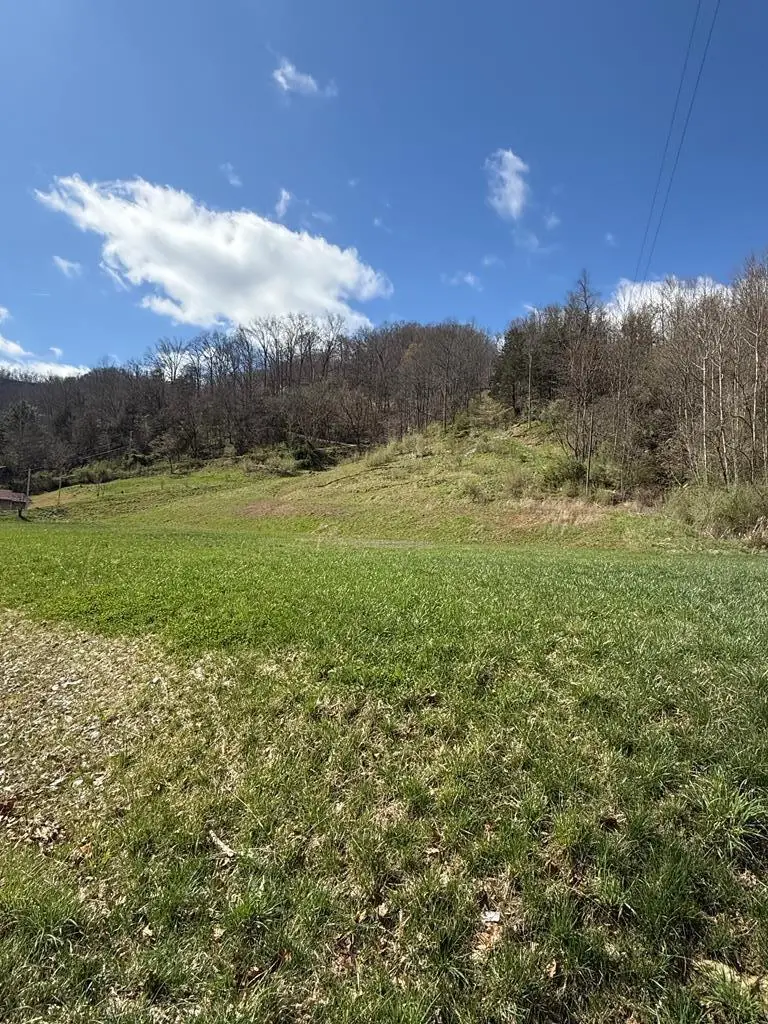 0 Cowpen #Lot 2, Pikeville, KY 41501 - #1