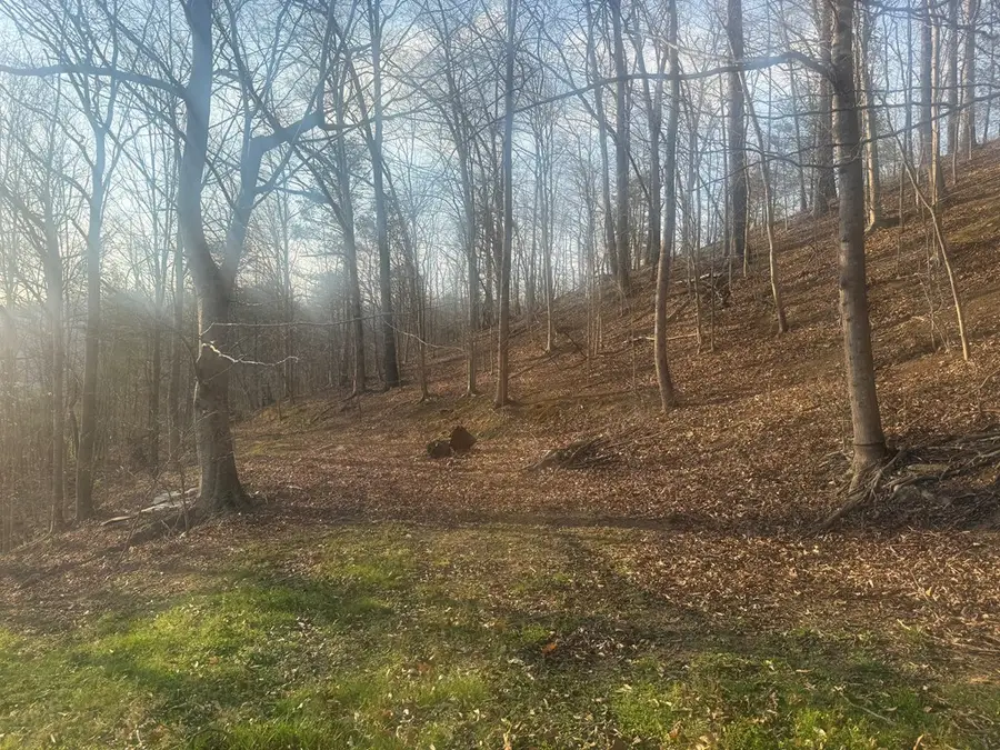 1203 Broadbottom Rd., Pikeville, KY 41501 - #2