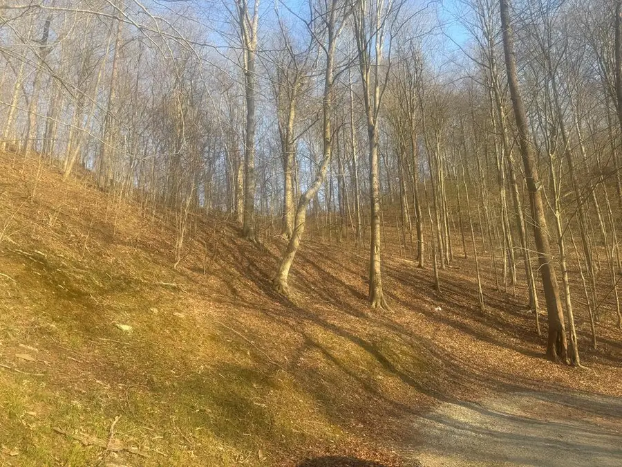 1203 Broadbottom Rd., Pikeville, KY 41501 - #3