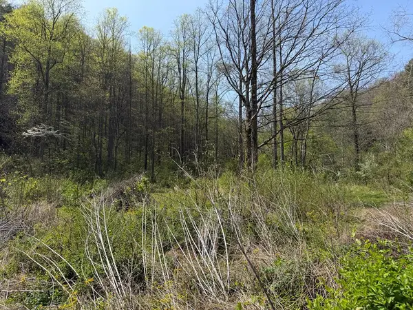 291 Sugar Camp Road, Robinson Creek, KY 41561