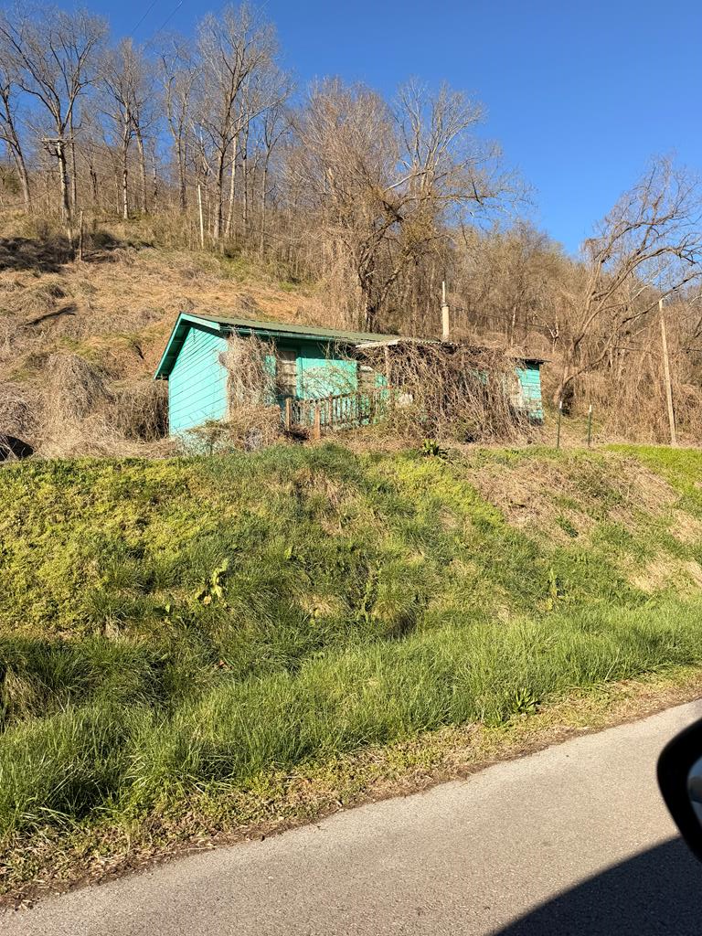 87 Springfield Drive, Wayland, KY 41666 - #1