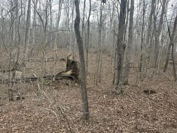 Lot 10 Mountain Springs Cem Road, Ravenna, KY 40475