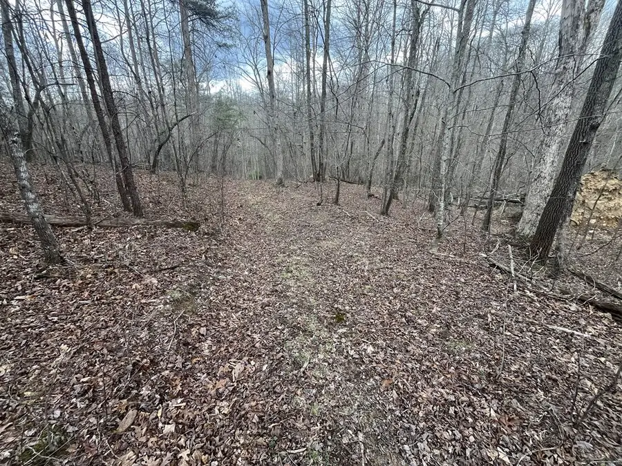 Lot 10 Mountain Springs Cem Road, Ravenna, KY 40475 - #2