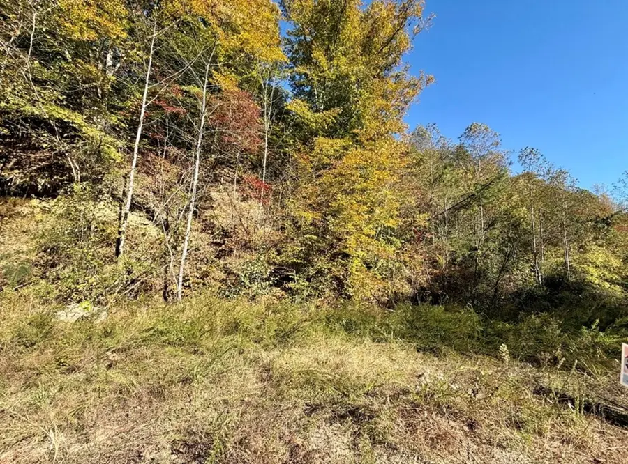 0 Kidd Fork, Banner, KY 41603 - #3