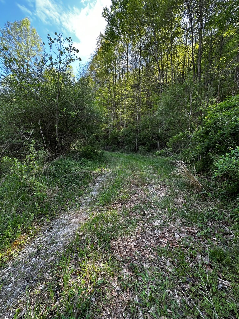 0 Left Fork Marshalls Branch, Jenkins, KY 41537 - #2