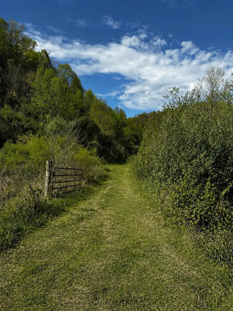 0 Left Fork Marshalls Branch, Jenkins, KY 41537 - #3