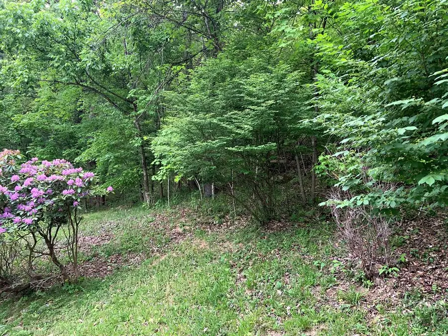 0 Lakeview Village, Prestonsburg, KY 41653 - #3