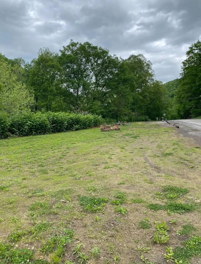 24400 S Levisa Road, Mouthcard, KY 41548 - #2