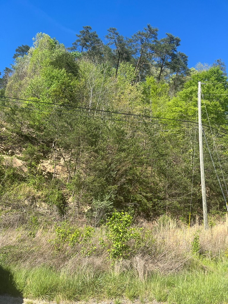 RT. 302 Ky Route 302, West Van Lear, KY 41268 - #2