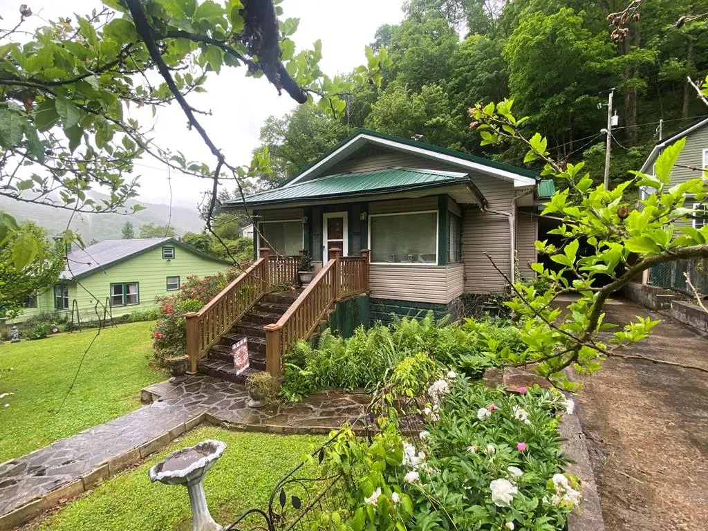 60 Warm Hollow Road, Matewan, WV 25678 - #1