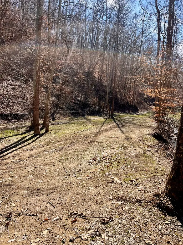 0 Bend Branch Road, Salyersville, KY 41465 - #3