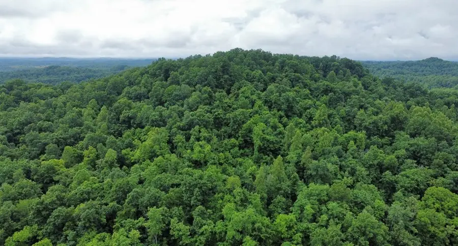 0 Little Cat Fork Road, Webbville, KY 41240 - #2