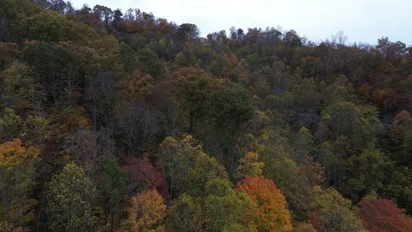0 Roy Hill Rd., Hindman, KY 41822