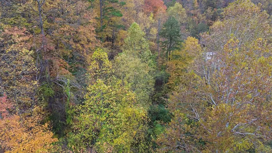 0 Roy Hill Rd., Hindman, KY 41822 - #2