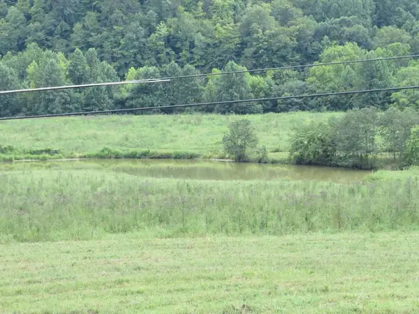 3534 Mcclure Branch, Louisa, KY 41230