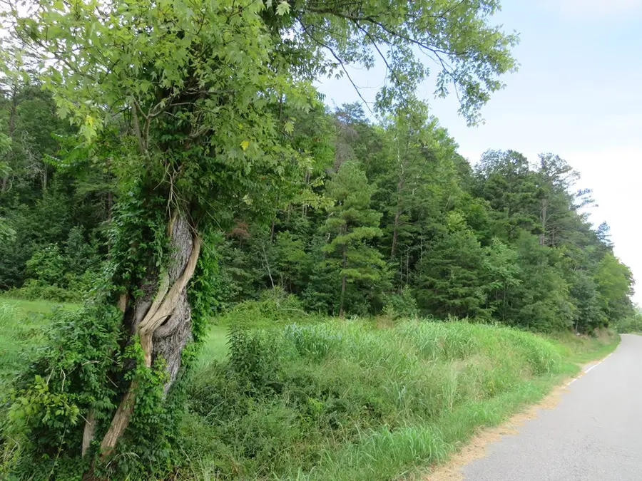 3534 Mcclure Branch, Louisa, KY 41230 - #3