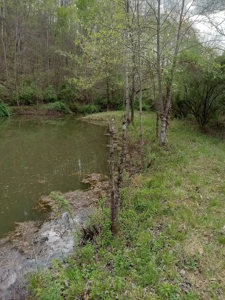 00 Hickman Fork Rd, Louisa, KY 41230 - #3