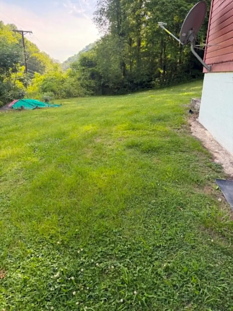 16604 Grapevine Road, Phyllis, KY 41554 - #3