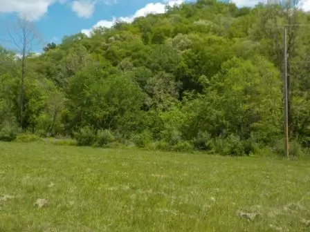Lot 4 Db 648 Pg. 1417 Ivy Creek, Ivel, KY 41642 - #1