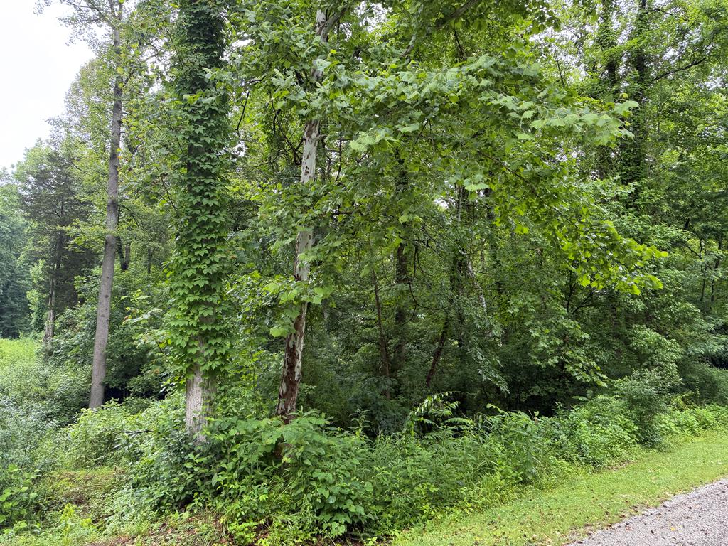00000 Mockingbird Trail, Catlettsburg, KY 41129 - #1