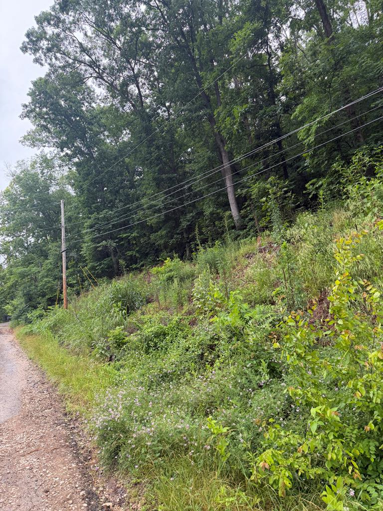 00000 Bob O Link Trail, Catlettsburg, KY 41129 - #1