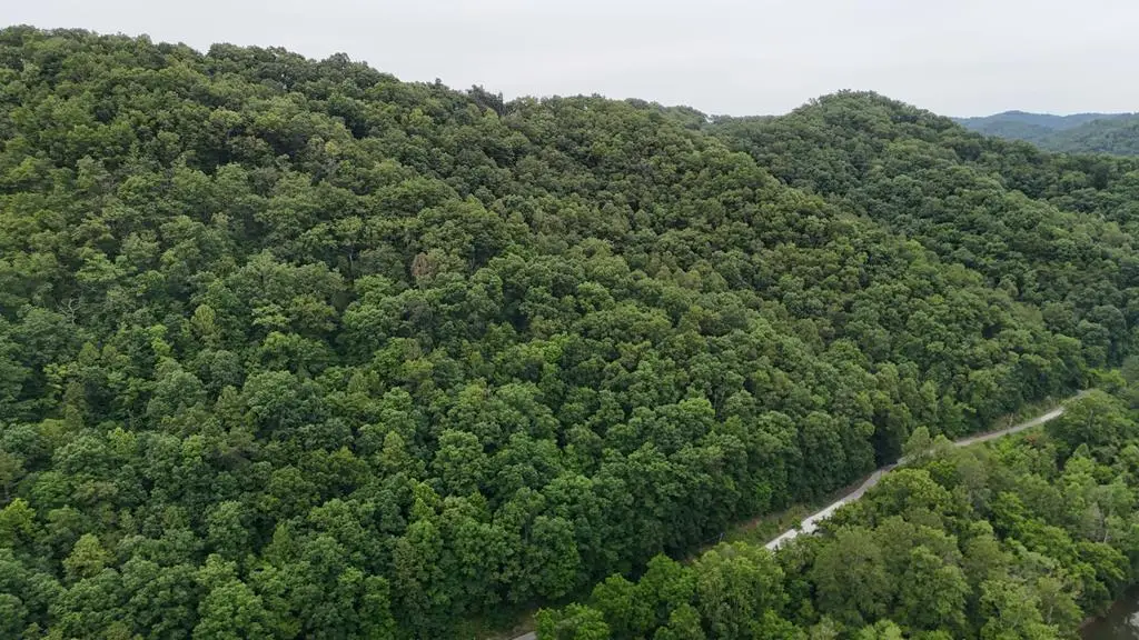 0 Yellow Creek Rd, Louisa, KY 41230 - #1