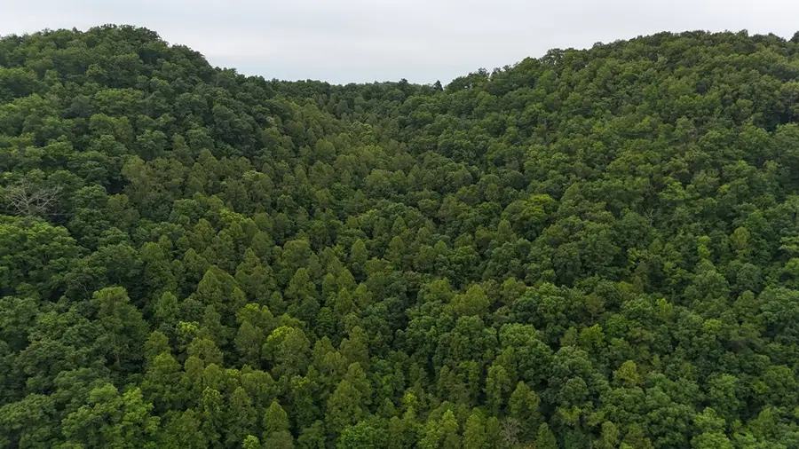 0 Yellow Creek Rd, Louisa, KY 41230 - #3