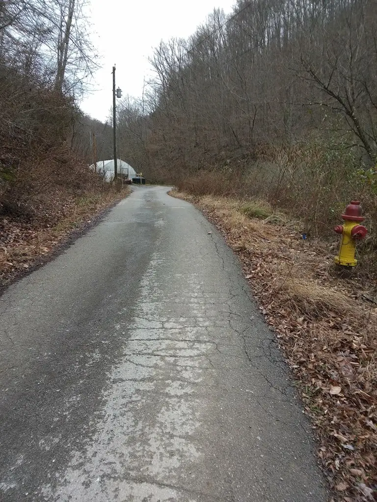 337 Ray Branch, Prestonsburg, KY 41653 - #3