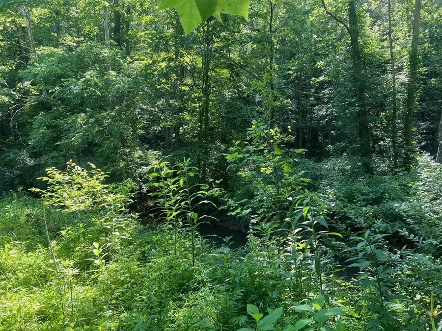 00 Se Licking River Rd., Royalton, KY 41640 - #3