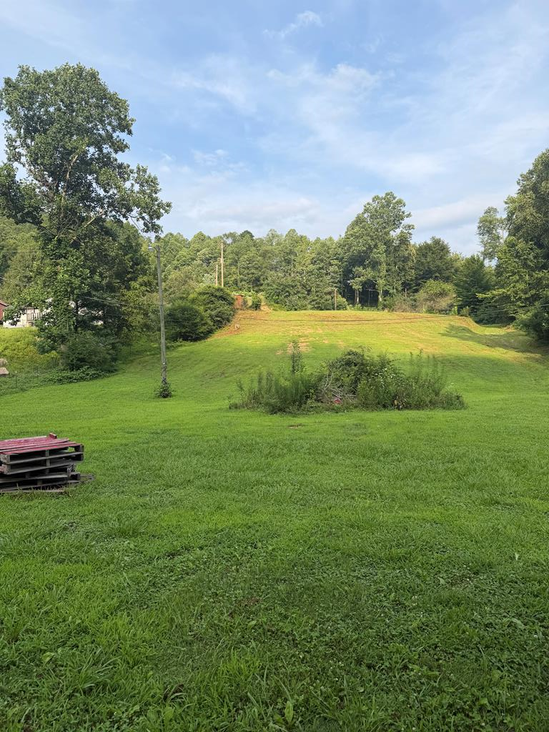 799 Pearl Hill Rd, Delbarton, WV 25670 - #1