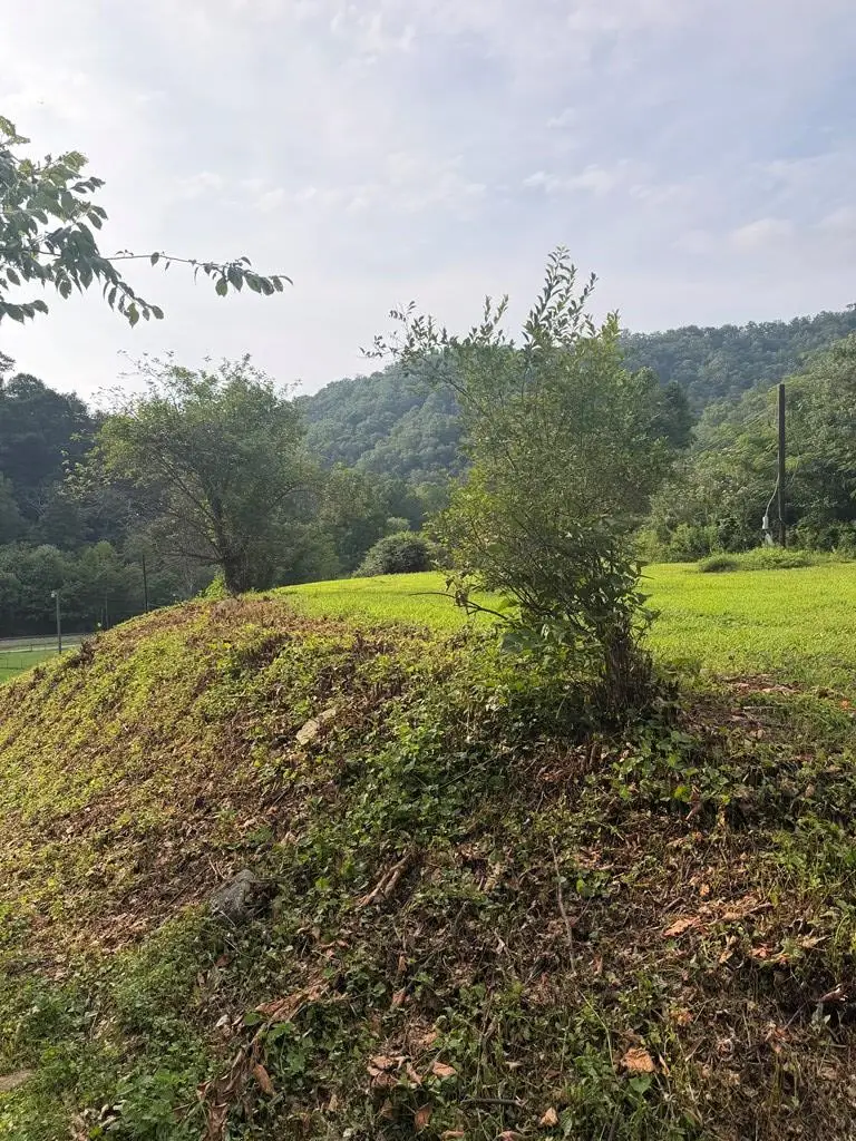 799 Pearl Hill Rd, Delbarton, WV 25670 - #2