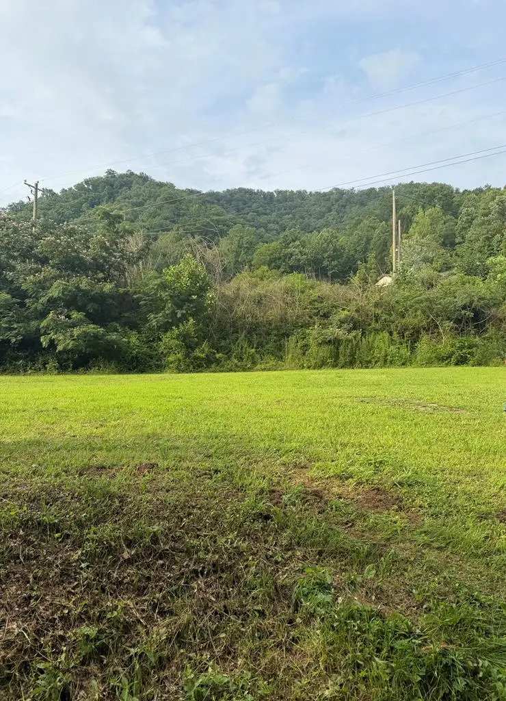 799 Pearl Hill Rd, Delbarton, WV 25670 - #3