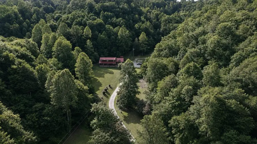 2445 Sookeys Creek West, Pikeville, KY 41501 - #3