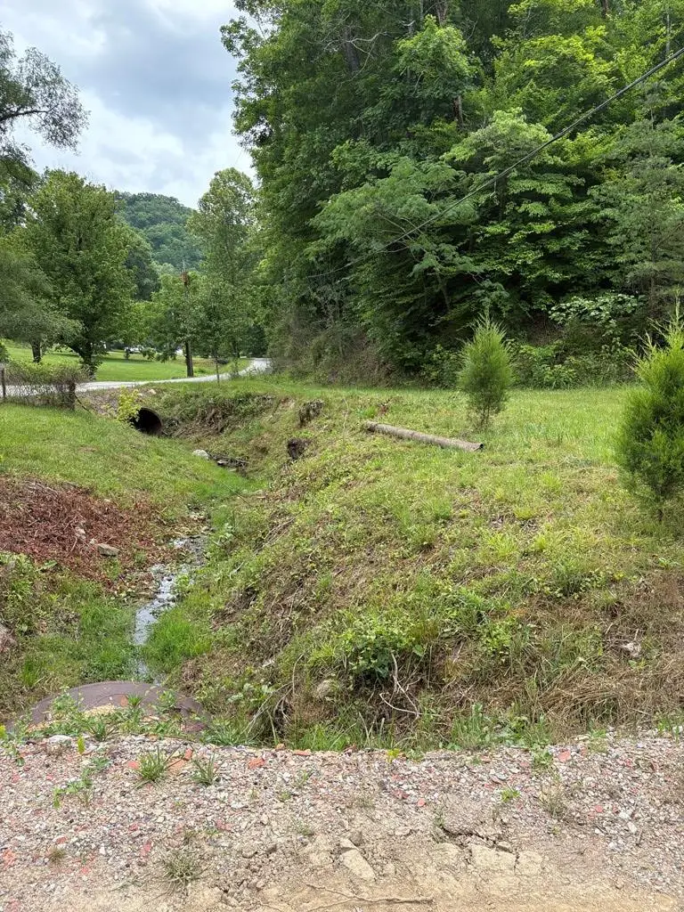 11 Stambaugh Branch, Sitka, KY 41255 - #3