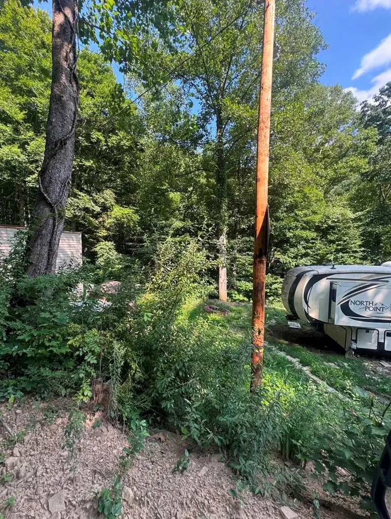 207 Left Fork Luke Varney Hollow, Raccoon, KY 41557 - #2