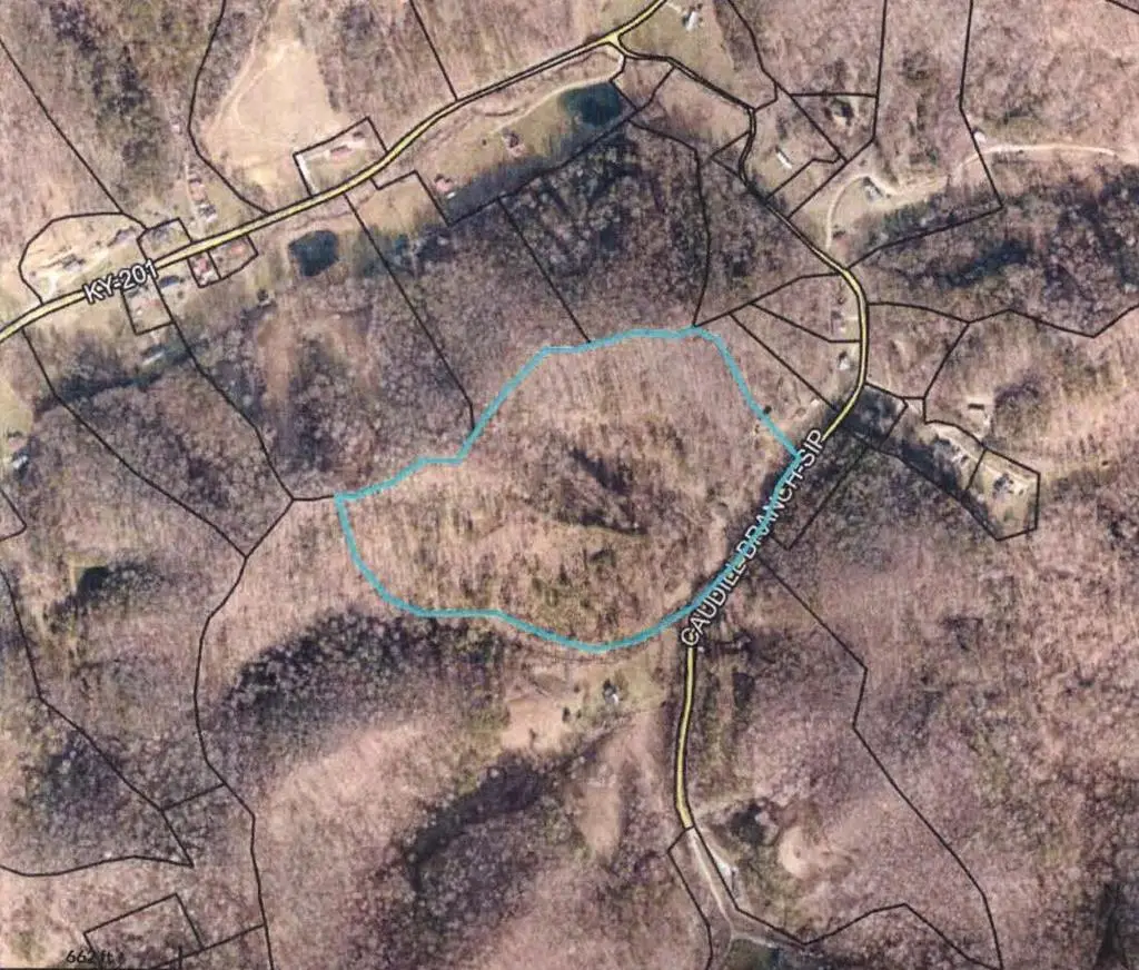 445 Caudill Branch, Sitka, KY 41255 - #1