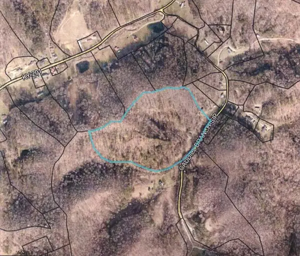445 Caudill Branch, Sitka, KY 41255